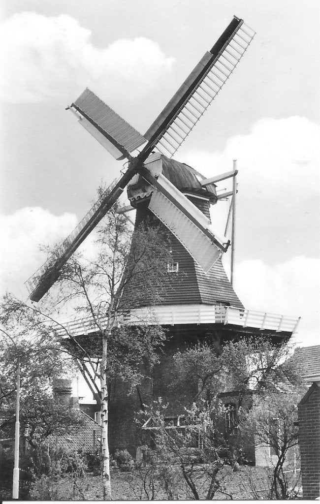 Oude ansichtkaart korenmolen De Liefde Uithuizen 1974, Ophalen of Verzenden, 1960 tot 1980, Gelopen, Groningen