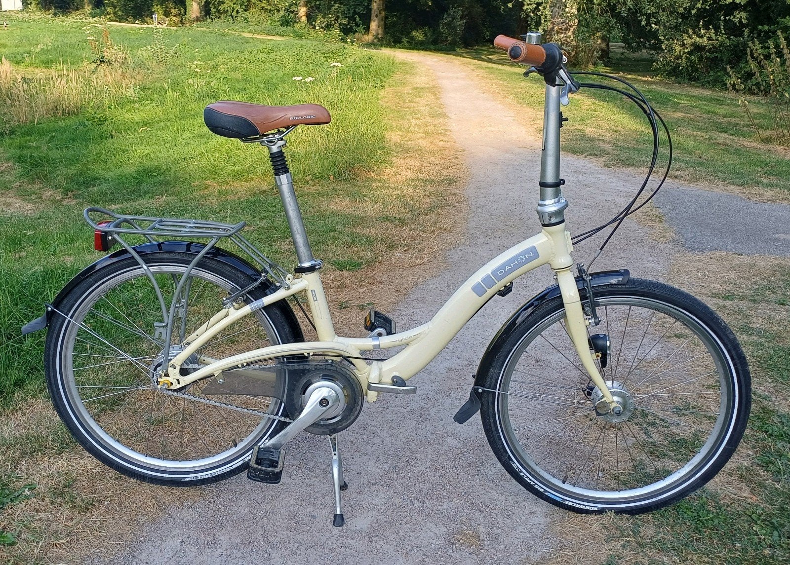Dahon vouwfiets, Fietsen en Brommers, Ophalen, 20 inch of meer, Gebruikt, Velgrem