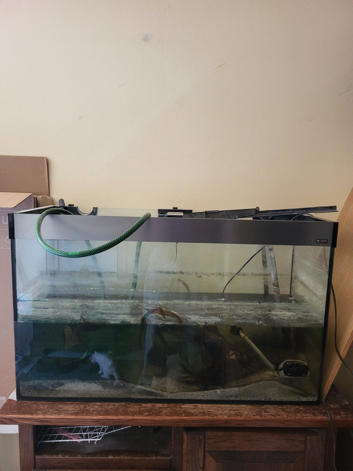Gratis Ciano aquarium, Ophalen, Gebruikt, Leeg aquarium