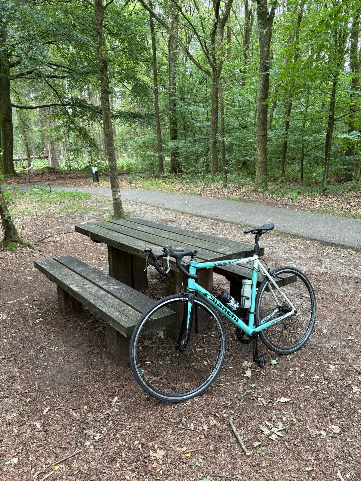 Bianchi Via Nirone racefiets - Shimano Ultegra - Maat 58, 28 inch, Velgrem, Zo goed als nieuw, 57 tot 61 cm