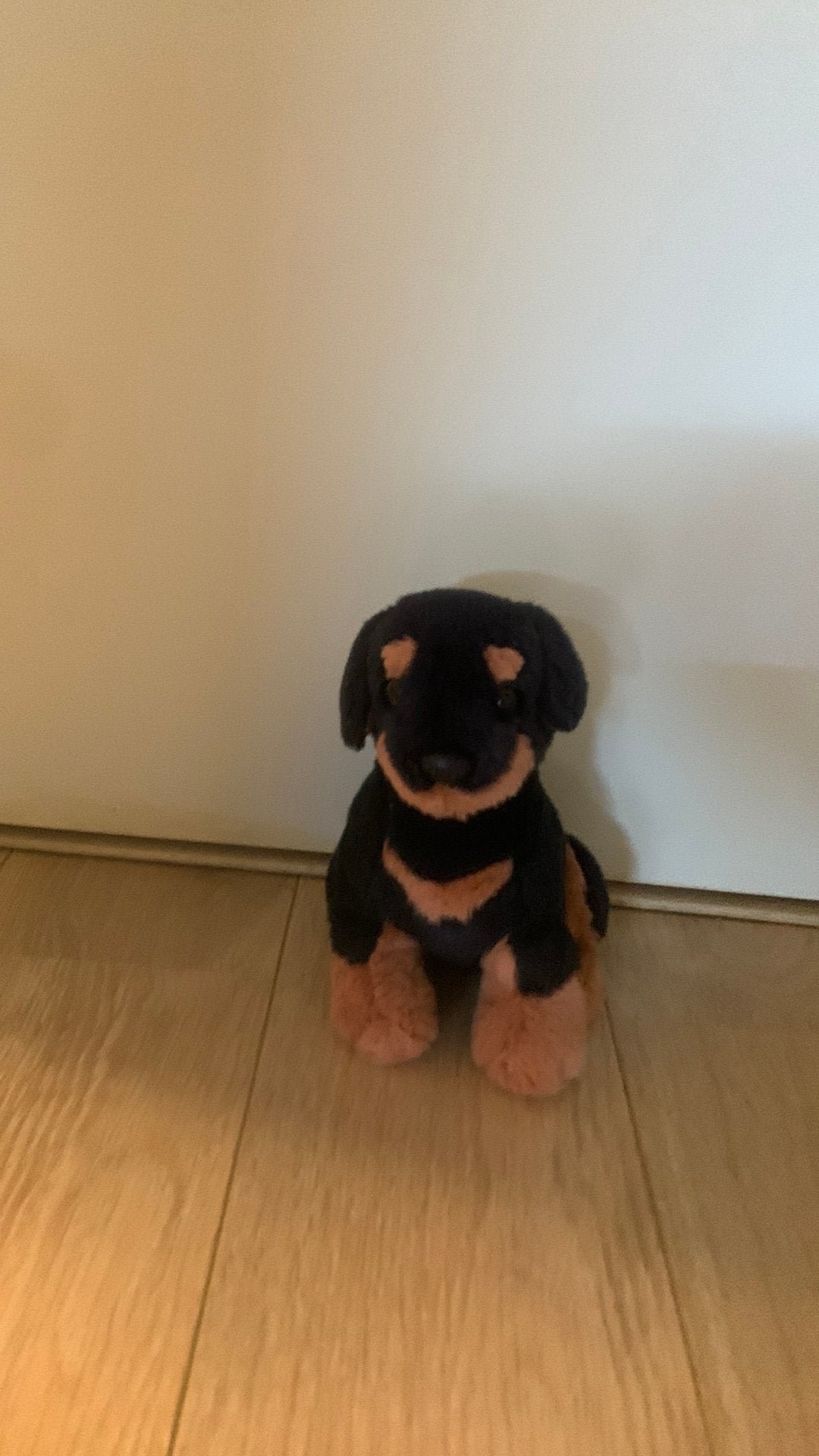 Honden Knuffel, Ophalen of Verzenden, Zo goed als nieuw, Overige typen
