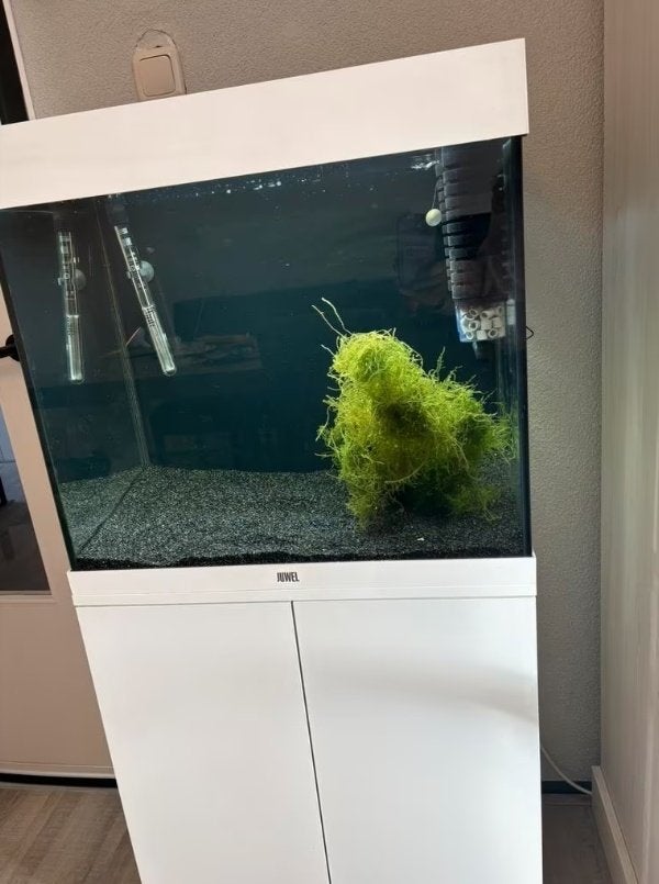 Juwel lido 120 met onderkast wit glans mooi strak, Dieren en Toebehoren, Ophalen, Zo goed als nieuw, Juwel, Inclusief deksel