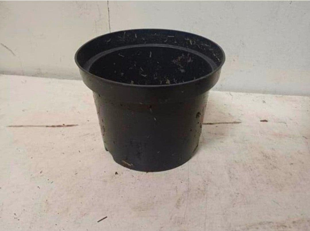 kweekpotten plantenpotten bloempotten 2 liter, Kunststof, Gebruikt, Rond, Ophalen of Verzenden
