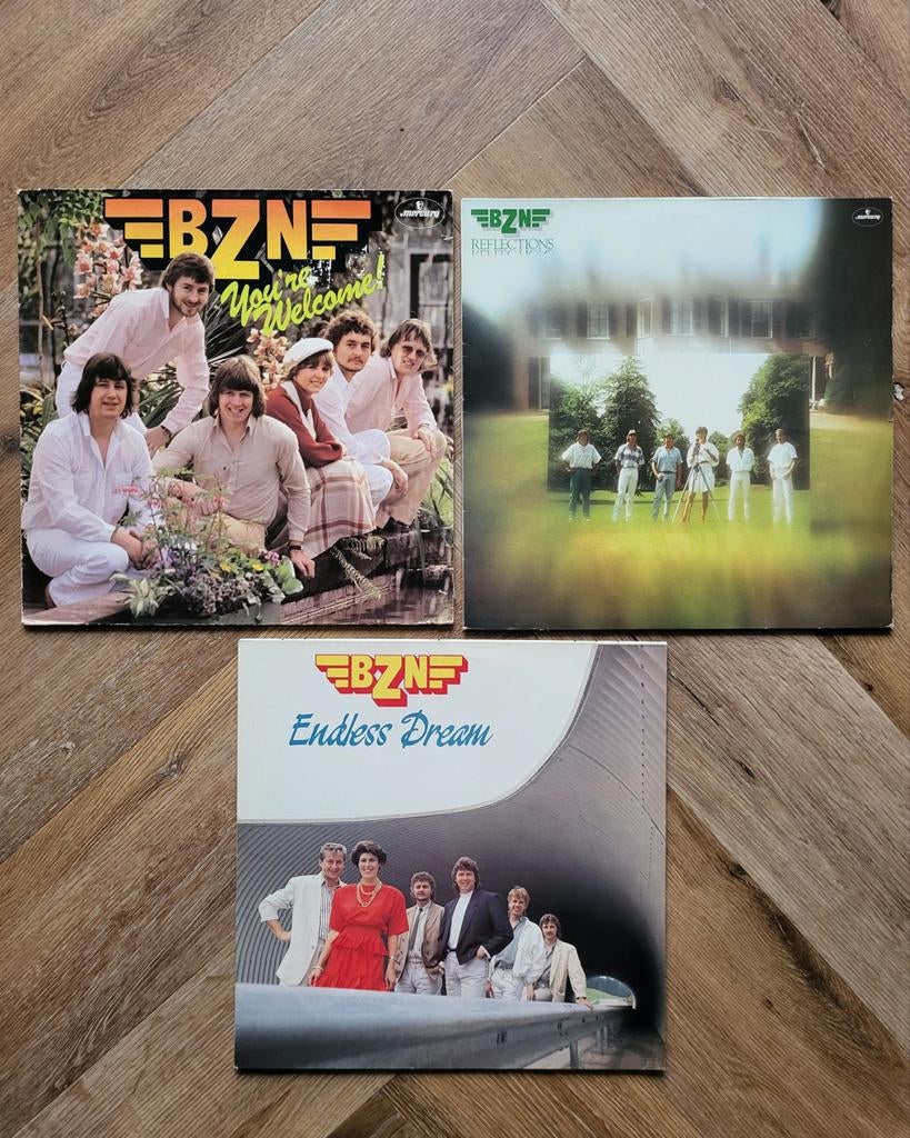Diverse Nederlandse Vinyl LP's, Cd's en Dvd's, Vinyl | Nederlandstalig, Ophalen, Gebruikt, 1970 - 1979, Levenslied of Smartlap