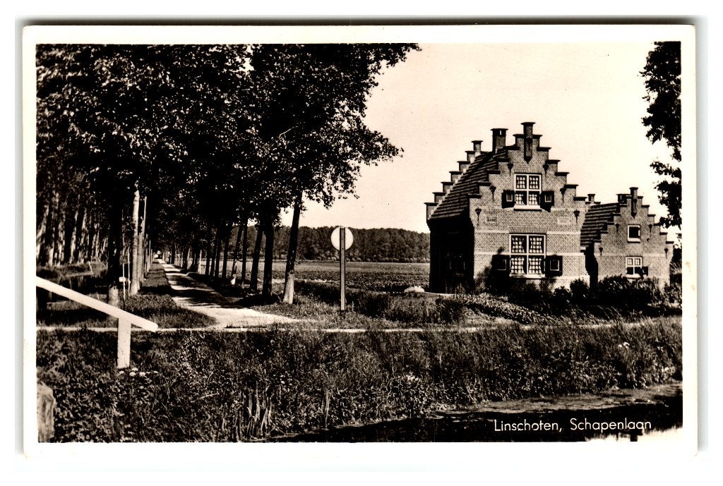 Linschoten, Schapenlaan, Verzamelen, Verzenden, 1940 tot 1960, Gelopen, Utrecht