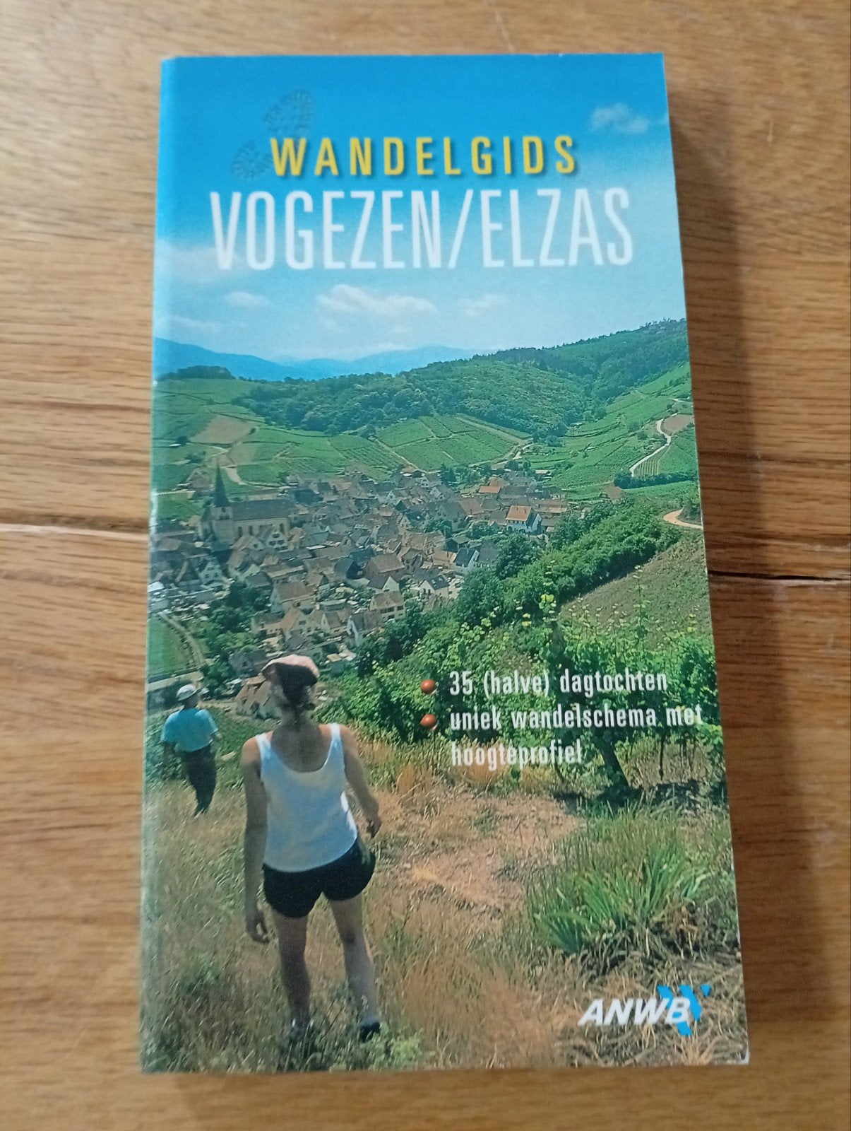 ANWB Wandelgids Vogezen/Elzas - 35 (halve) dagtochten, Boeken, Reisgidsen, Ophalen of Verzenden