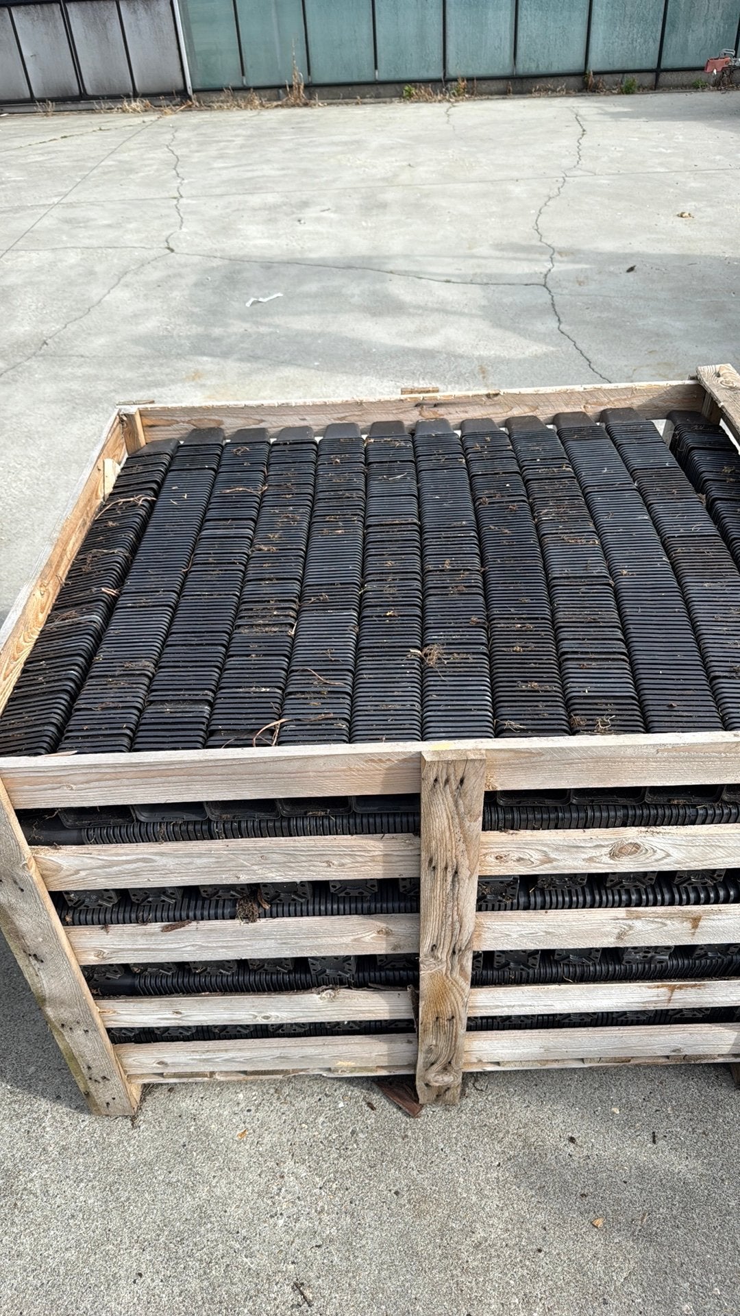 Box pallet met p9 potten.gebruikt, Ophalen, Kunststof, Gebruikt, Vierkant