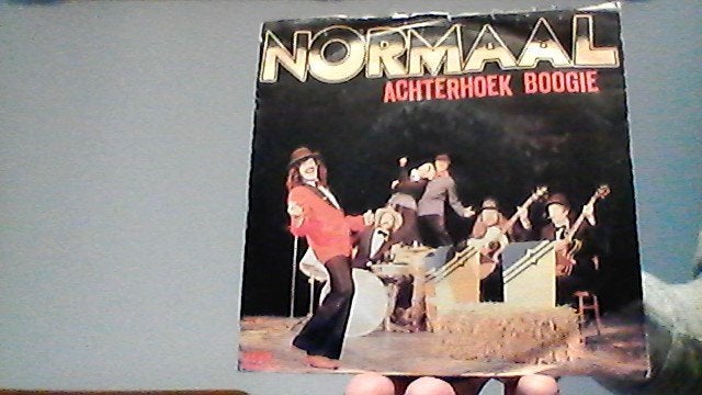 normaal jukebox single achterhoek boogie uit 1981, Ophalen of Verzenden, Zo goed als nieuw