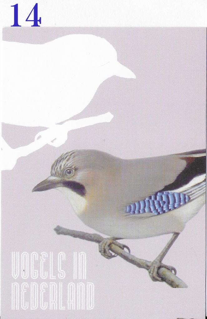 Ansichtkaart Vogels in Nederland Gaai Bosvogel ( B3938), Verzamelen, Ophalen of Verzenden, 1980 tot heden, Ongelopen