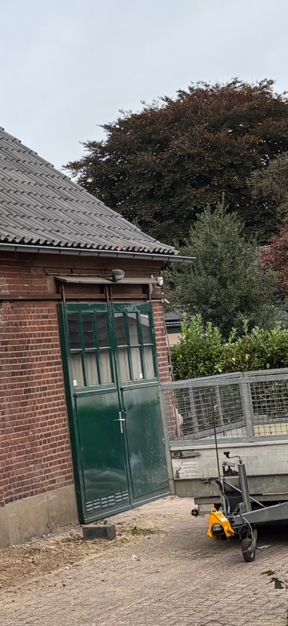 Robuuste groene schuurdeur met ramen 2 stuks, Doe-het-zelf en Verbouw, Ophalen, Gebruikt