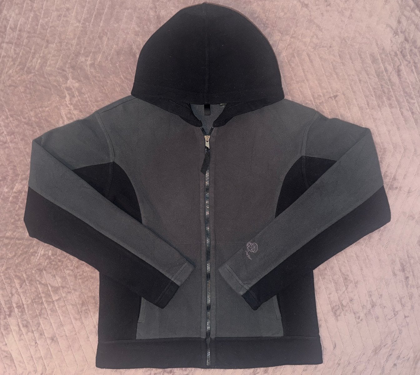 Vintage Patagonia Rhythm Fleece Hoody, Ophalen of Verzenden, Zo goed als nieuw, Maat 38/40 (M), Grijs