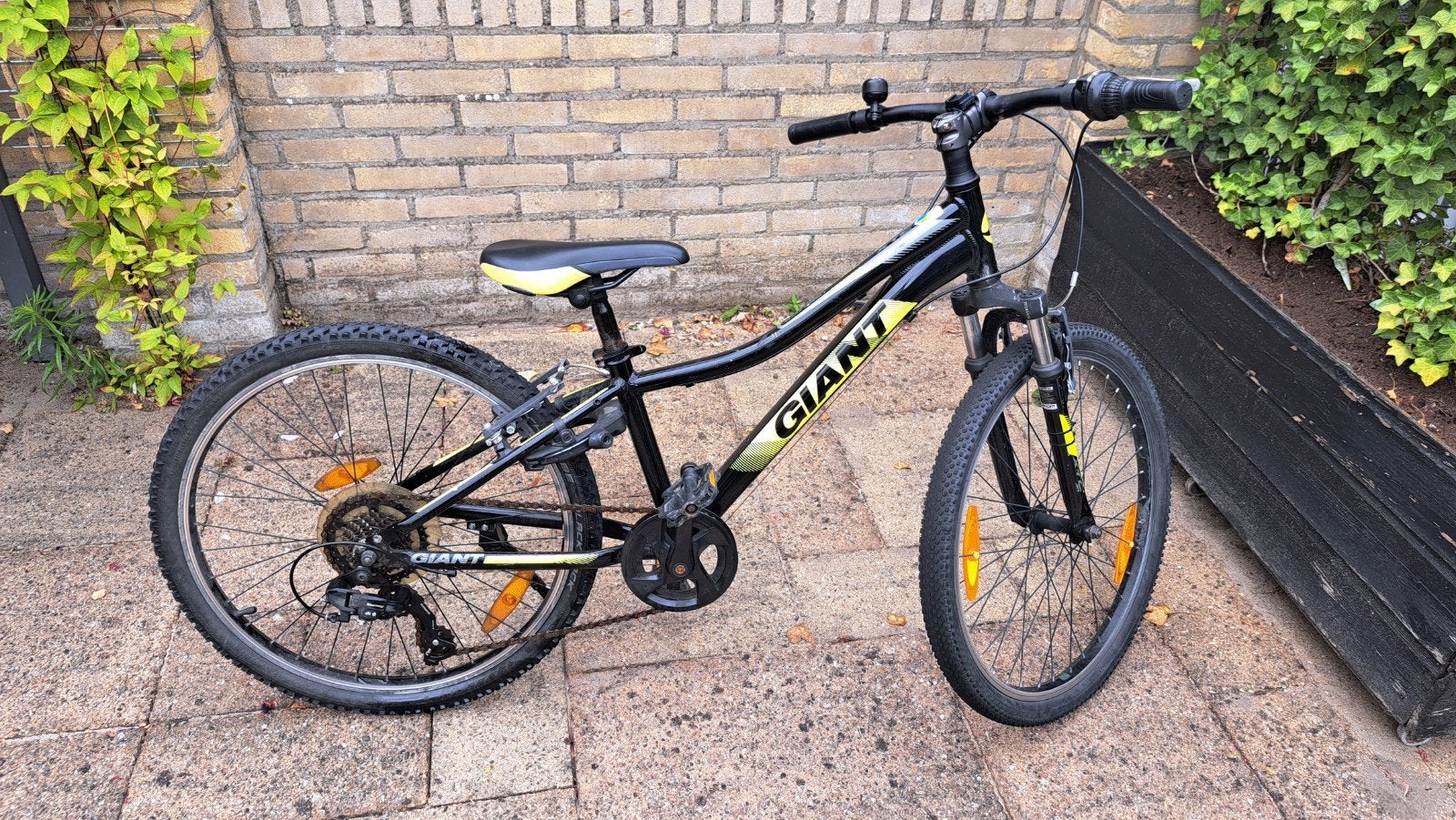 Giant mountainbike 24 inch, Ophalen, Zo goed als nieuw, 20 inch of meer