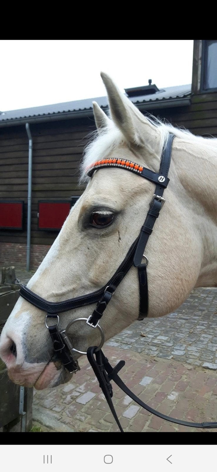 Anatomisch hoofdstel mt cob incl sweet dubbelgebr bit 12cm, Dieren en Toebehoren, Ophalen of Verzenden, Zo goed als nieuw, Dressuur