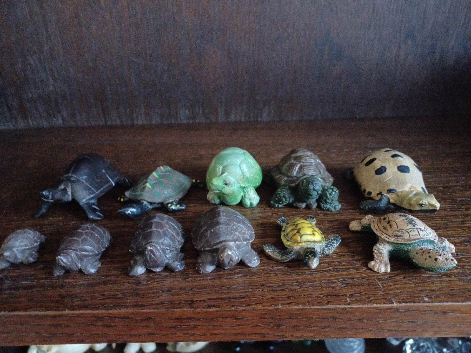 Schildpadden beeldjes, Ophalen, Zo goed als nieuw, Reptiel of Amfibie, Beeldje of Figuurtje