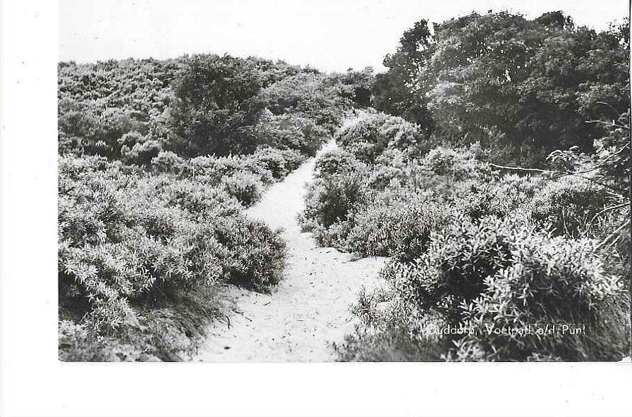 Ouddorp, Ophalen of Verzenden, 1940 tot 1960, Ongelopen, Zuid-Holland