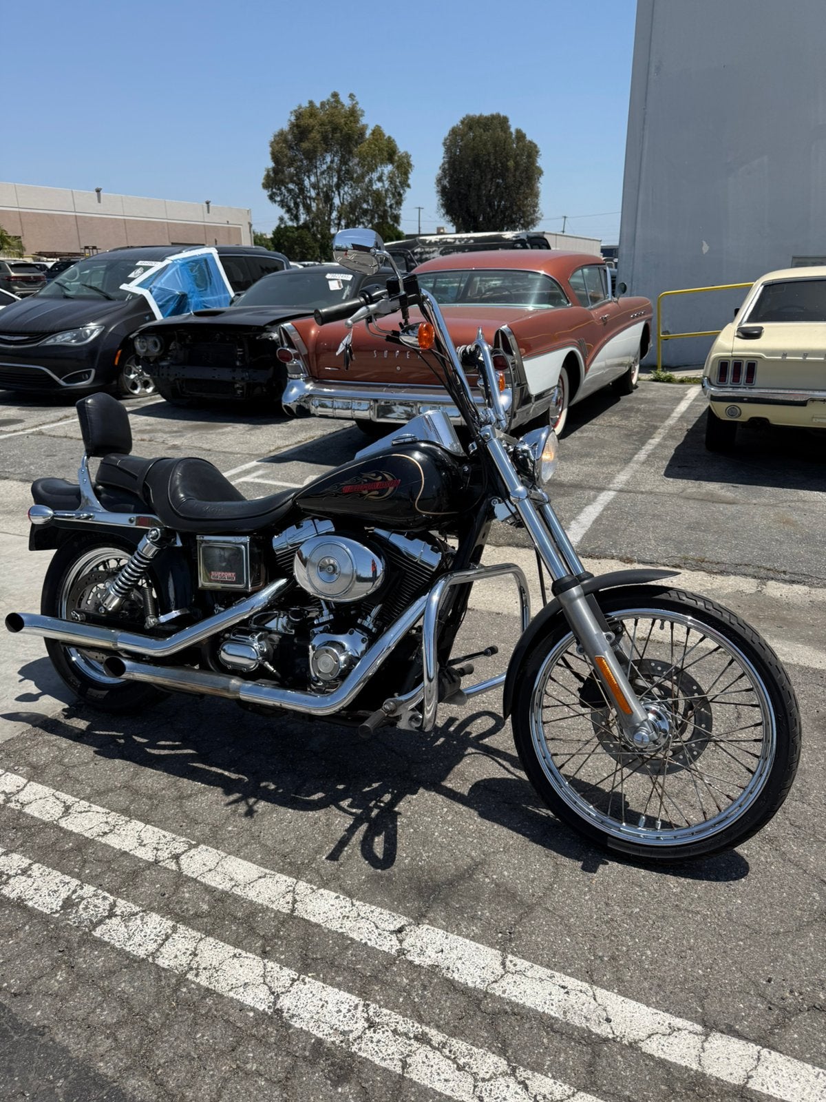 Harley Davidson Dyna 2003 anniversary fxdwg, Motoren, Motoren | Harley-Davidson, 2 cilinders, Chopper, Particulier