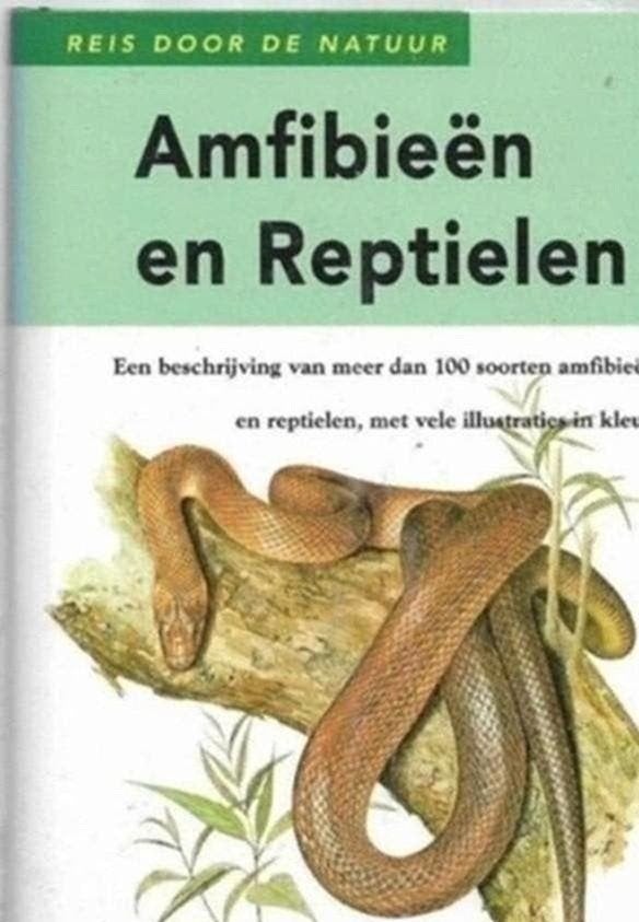 Amfibieen en reptielen, Ophalen of Verzenden, Zo goed als nieuw, Reptielen of Amfibieën