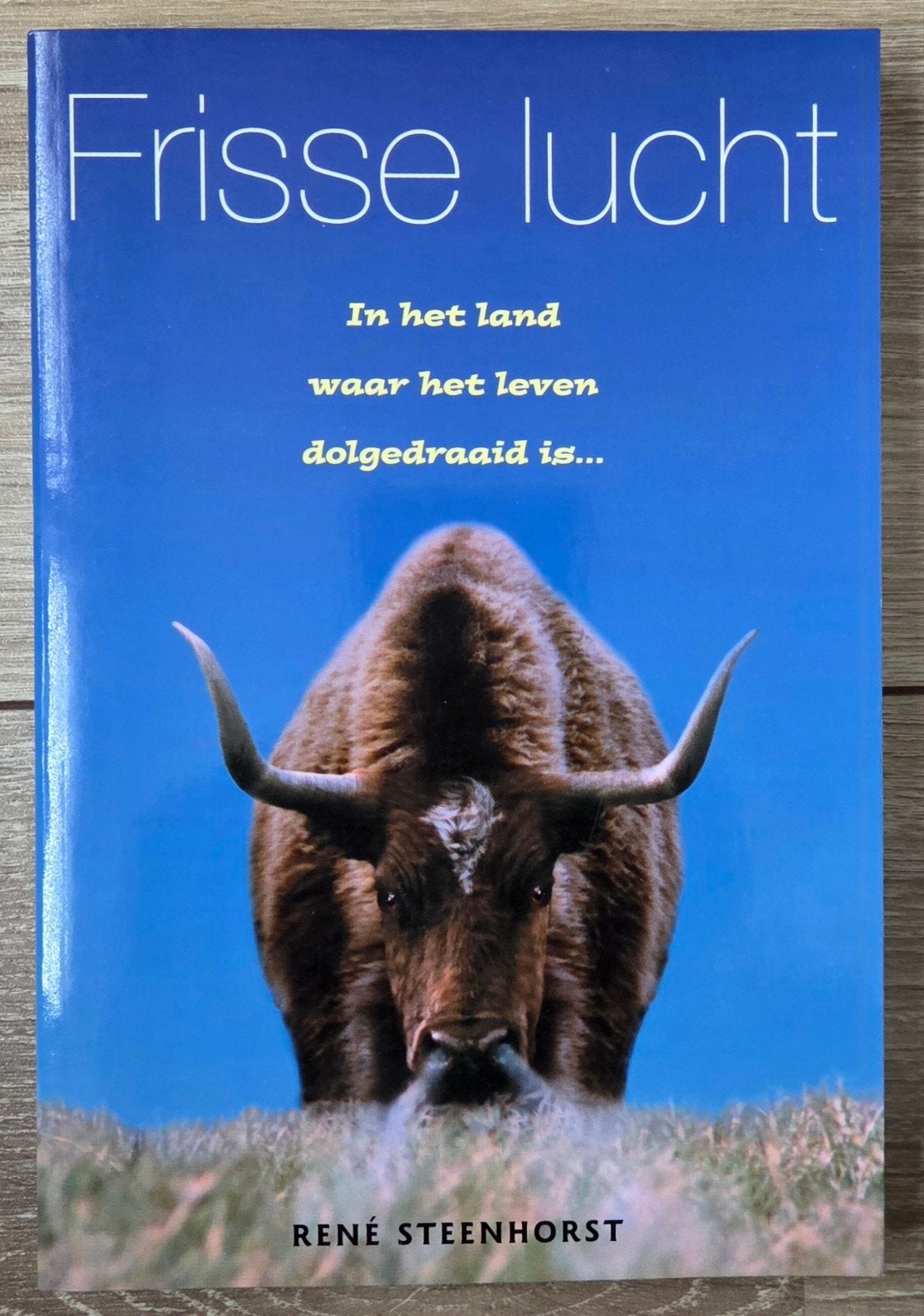 René Steenhorst - Frisse lucht, Ophalen of Verzenden, Zo goed als nieuw, R. Steenhorst