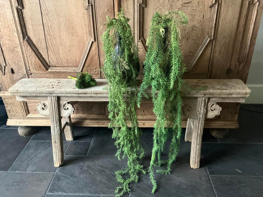 NIEUW hele groten kunsttak hangende varen 150cm, Ophalen of Verzenden, Nieuw