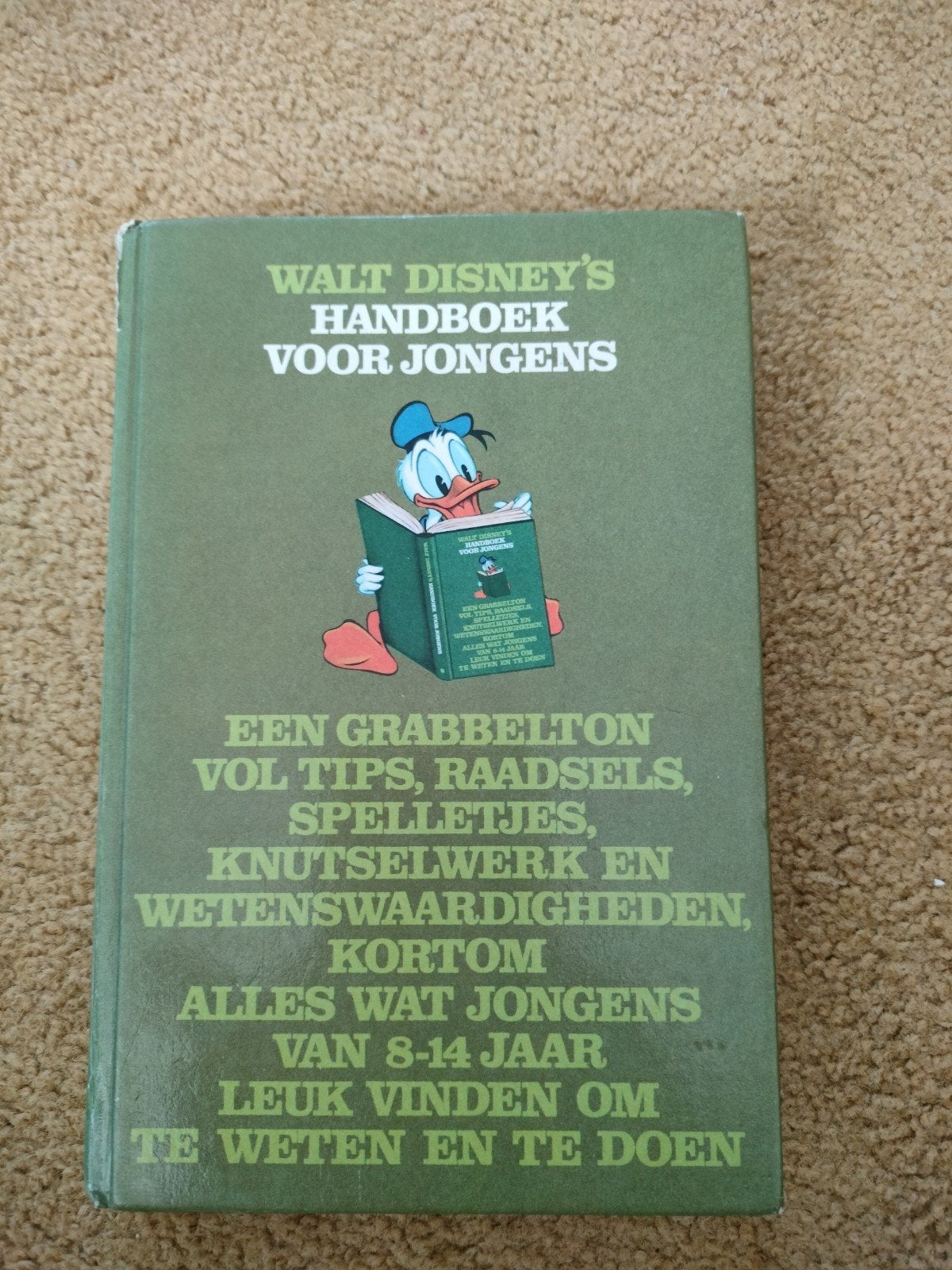 Walt Disney handboek voor jongens, Ophalen of Verzenden