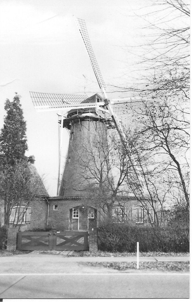 Mierlo Korenmolen - Foto februari 1977, Verzamelen, Ophalen of Verzenden, 1960 tot 1980, Ongelopen, Noord-Brabant