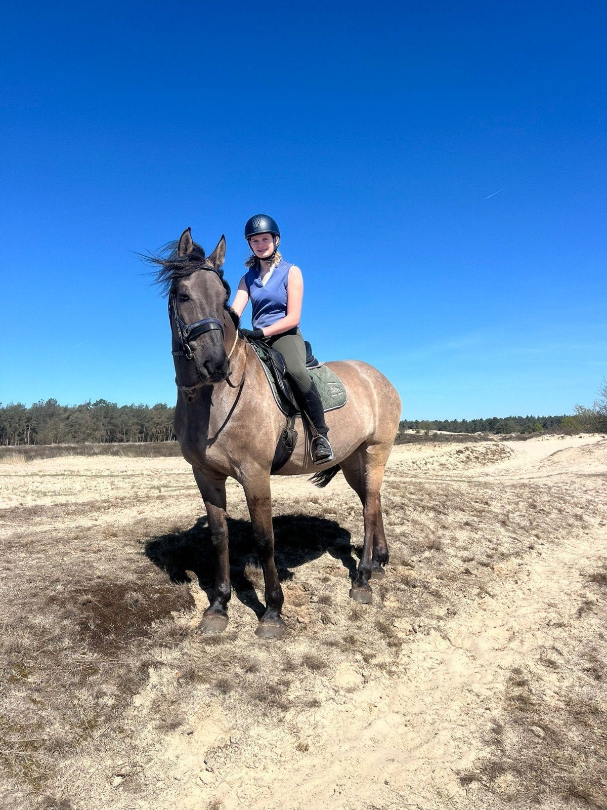 Lease paard/pony gezocht, ervaren bijrijder aangeboden, Ophalen, Nieuw