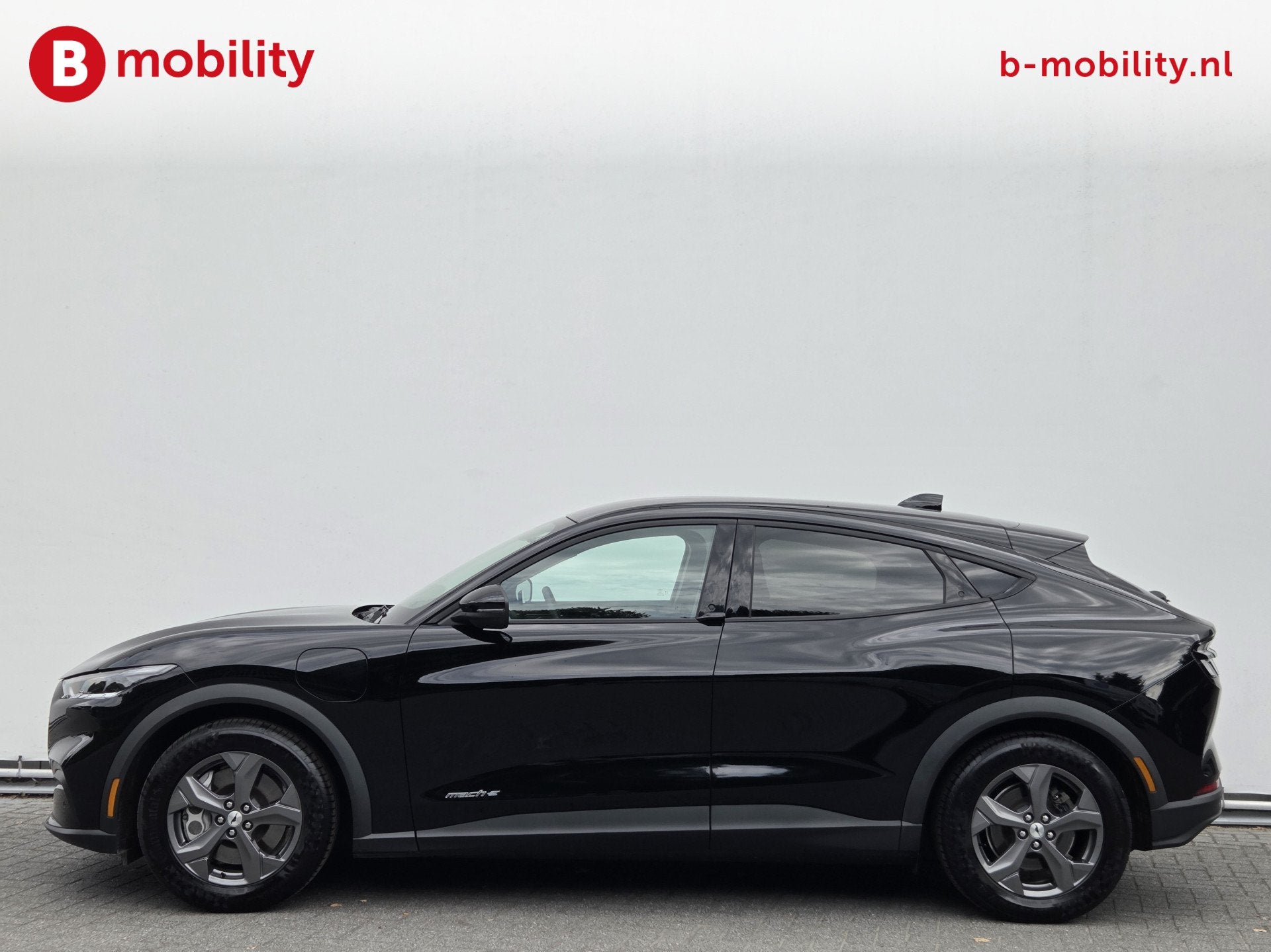 Ford Mustang Mach-E RWD 75 kWh SOH 98% Adaptive Cruise Contr, Gebruikt, 40 min, Zwart, 1944 kg