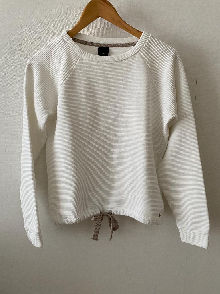 Cavallaro trui, crème, maat M, Maat 38/40 (M), Beige, Cavallaro, Ophalen of Verzenden