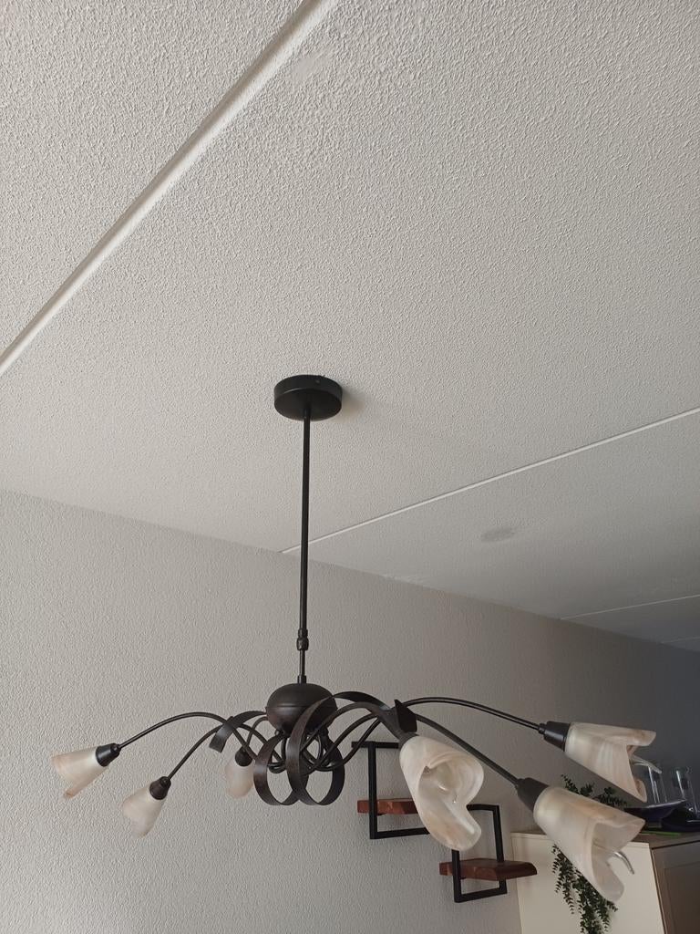 Hang lamp en plafond lamp, Ophalen