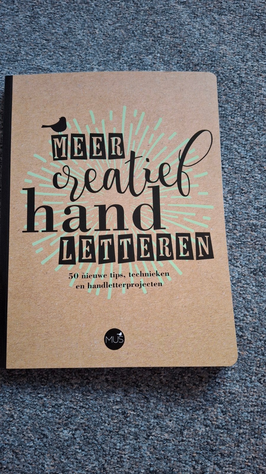 Jaclyn Escalera - Meer creatief handletteren, Boeken, Jaclyn Escalera; Gabri Joy Kirkendall, Ophalen of Verzenden, Zo goed als nieuw