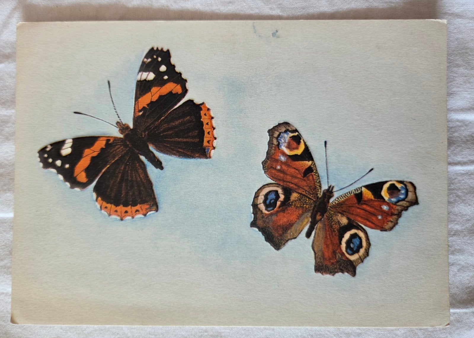 Vlinders - Atalanta en Dagpauwoo, Verzenden, 1940 tot 1960, Ongelopen, Natuur