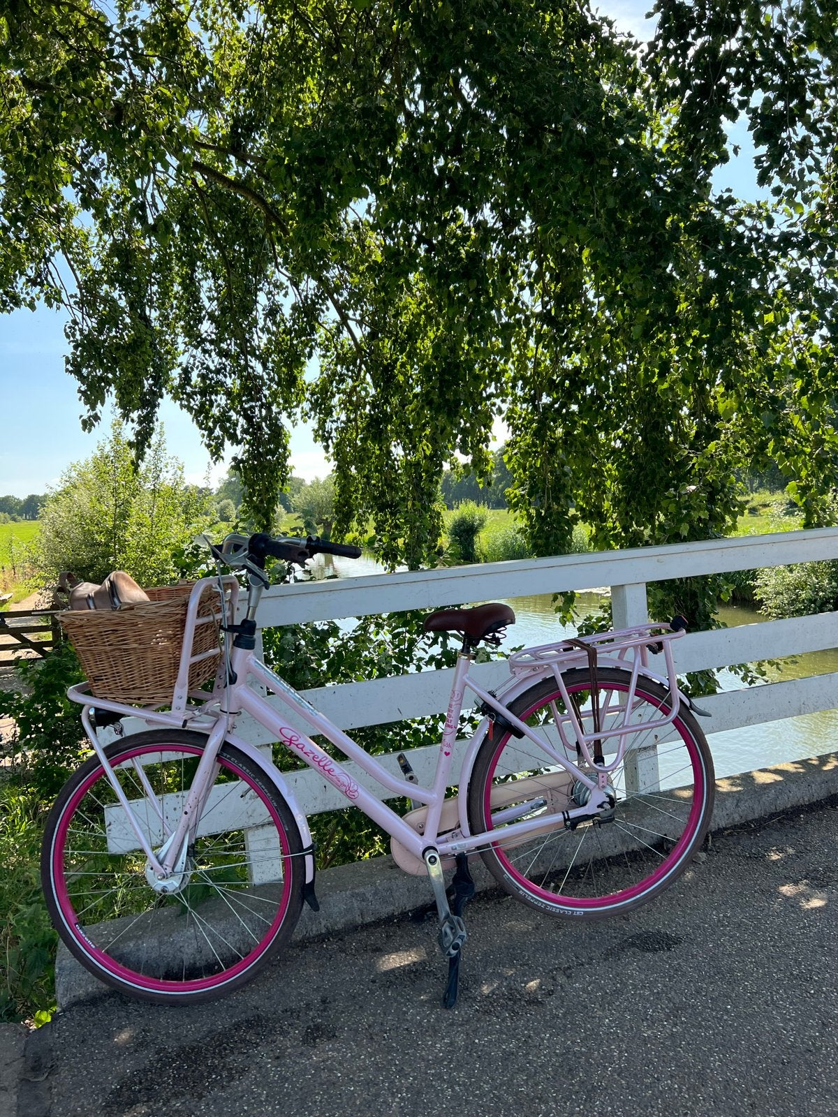 Mooie Gazelle damesfiets met mandje, Fietsen en Brommers, Ophalen, Velgrem, Versnellingen, Gazelle