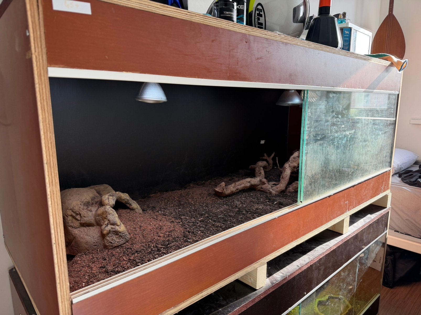 Terrarium, Ophalen, Zo goed als nieuw, Terrarium of Paludarium