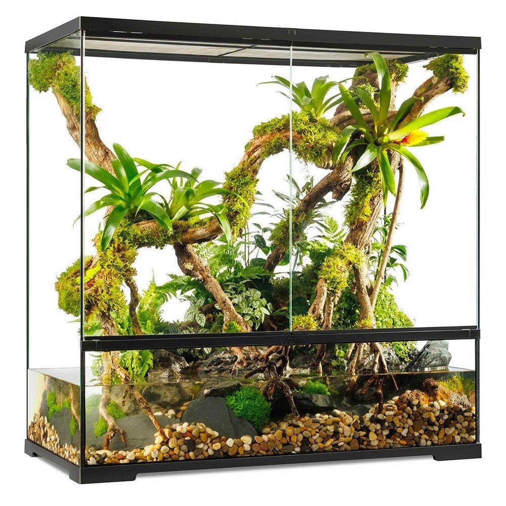 terrarium- paludarium, Ophalen, Gebruikt, Terrarium of Paludarium