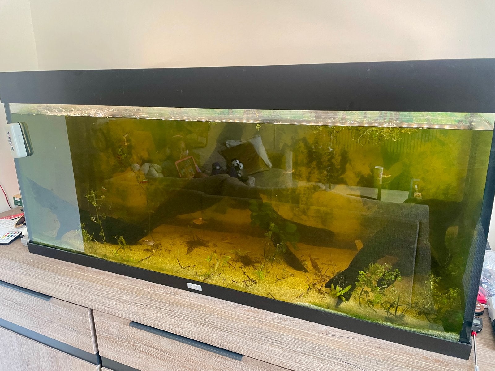 Aquarium Juwel 240, Dieren en Toebehoren, Vissen | Aquaria en Toebehoren, Ophalen, Leeg aquarium