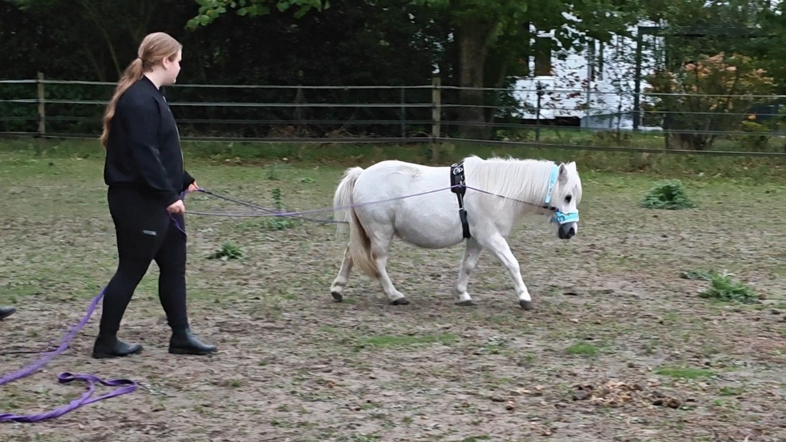 Verzorger aangeboden omgeving Etten Leur, Dieren en Toebehoren, Paarden en Pony's | Overige Paardenspullen, Ophalen of Verzenden