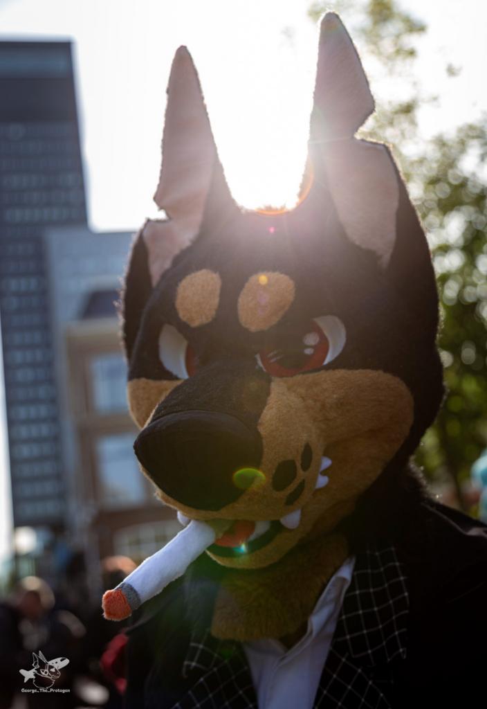 Fursuit head ( doberman ), Ophalen of Verzenden, Zo goed als nieuw