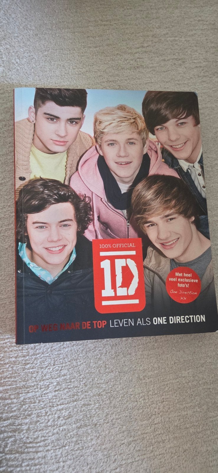 One Direction: Op Weg Naar De Top - Leven Als One Direction, Ophalen of Verzenden, Zo goed als nieuw, Artiest, One Direction