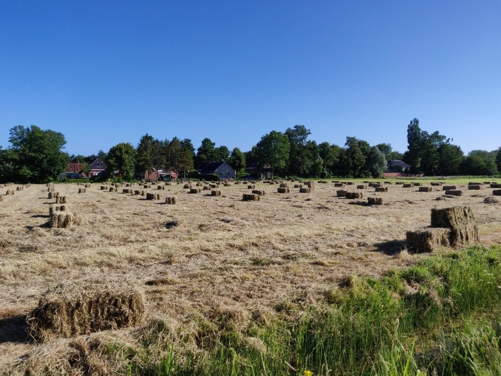 dierenvoeding, Ophalen, Vee