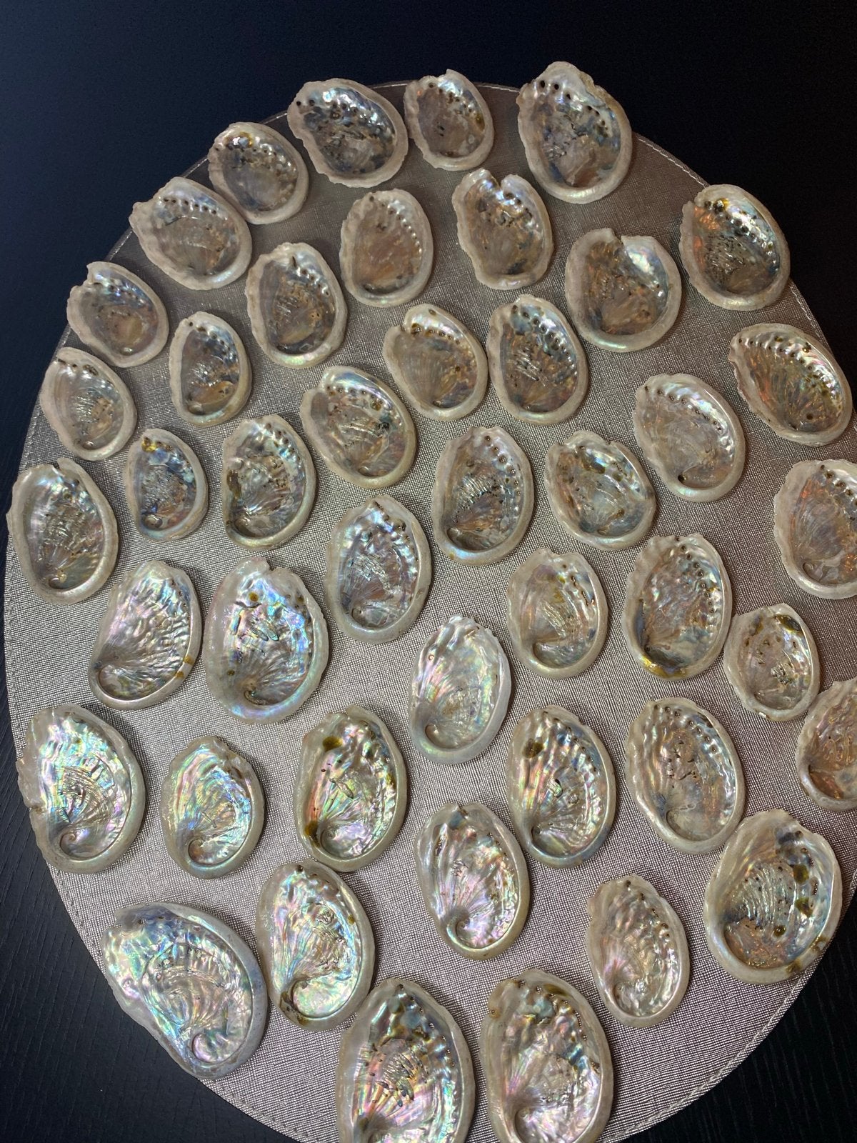 45 Natuurlijke Abalone Schelpen - Prachtige Decoratie, Verzamelen, Ophalen of Verzenden, Gebruikt