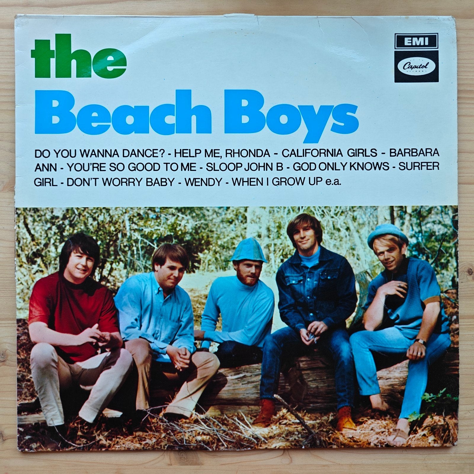 LP · The Beach Boys, Gebruikt, Ophalen of Verzenden, 12 inch, Poprock