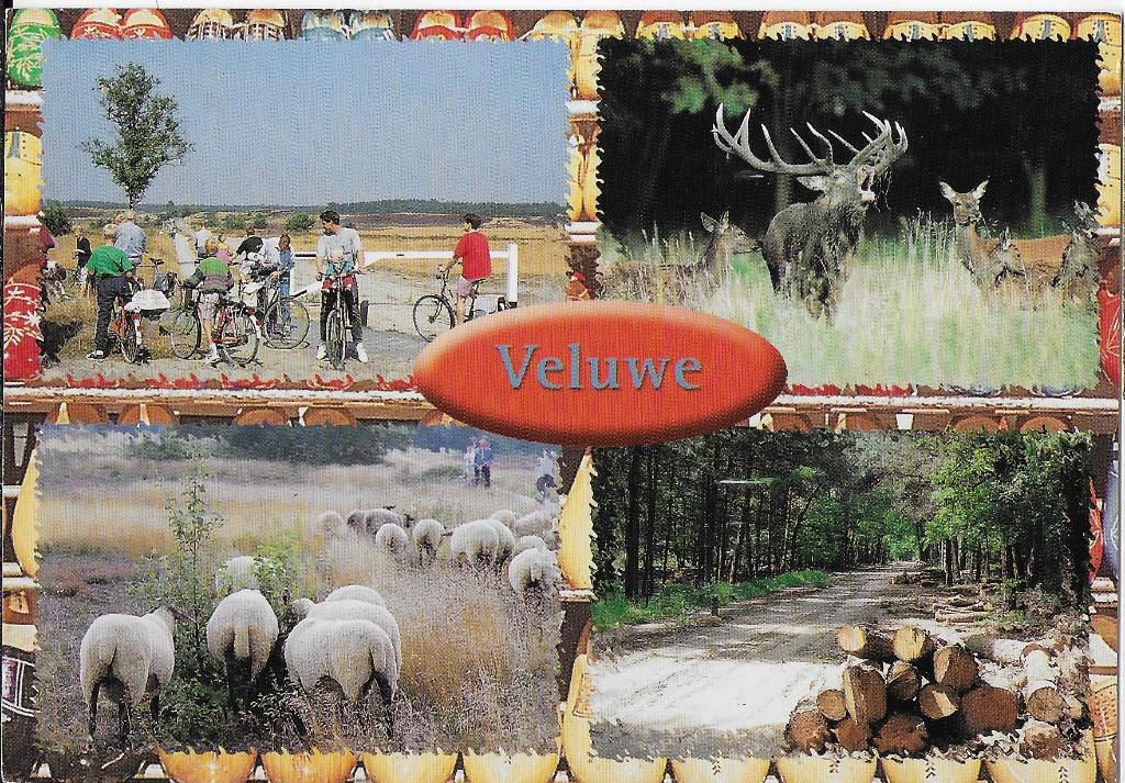 Ch1080 Gelopen ansichtkaart Veluwe, Ophalen of Verzenden, 1980 tot heden, Gelopen, Gelderland