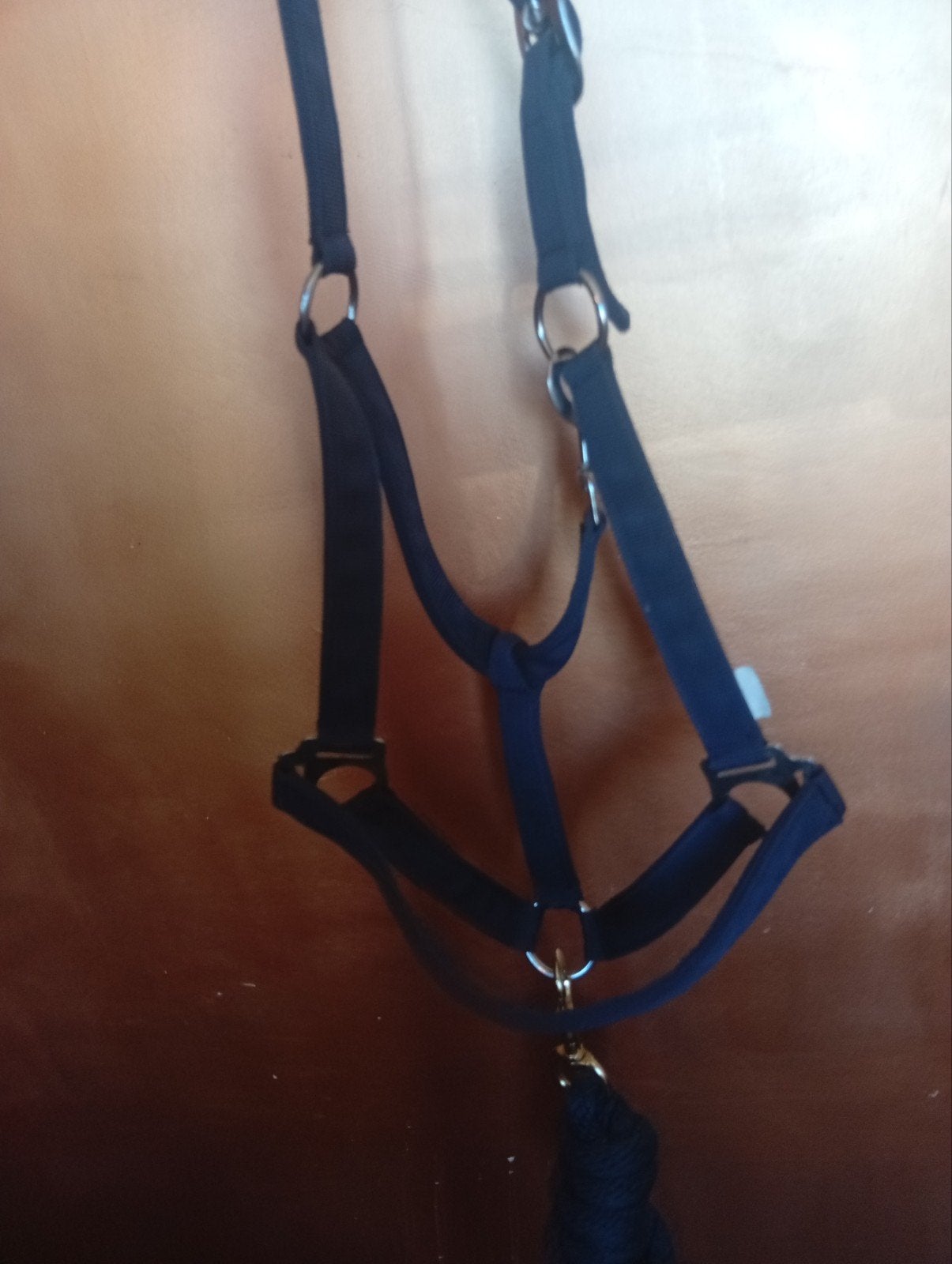 halster set, Dieren en Toebehoren, Nieuw, Ophalen of Verzenden, Blauw, Halster