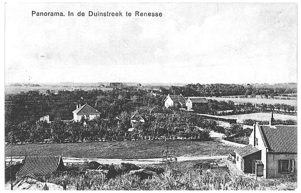 700239 Renesse Zeeland 1928 Panorama Duinstreek Gelopen