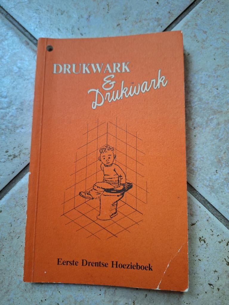 Eerste drentse Hoezieboek, Boeken, Ophalen of Verzenden, Gelezen