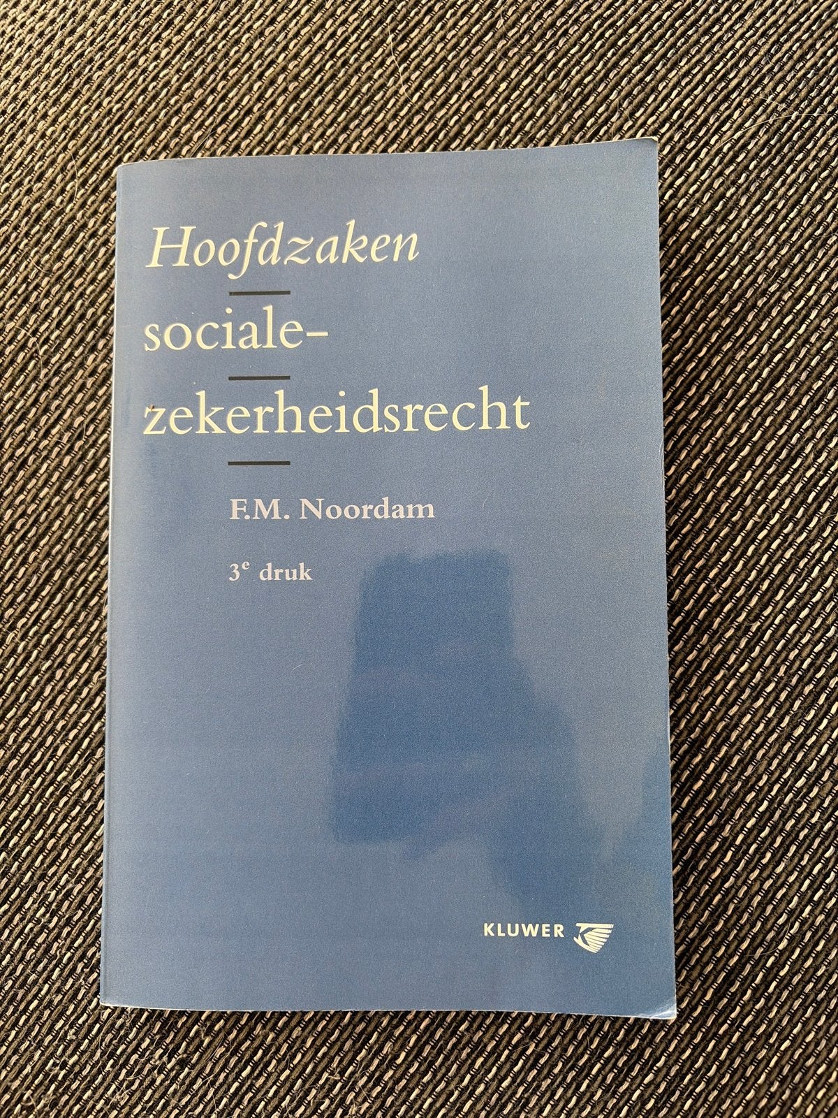 Hoofdzaken sociale-zekerheidsrecht - F.M. Noordam, Boeken, Ophalen of Verzenden, Gamma, Zo goed als nieuw, HBO