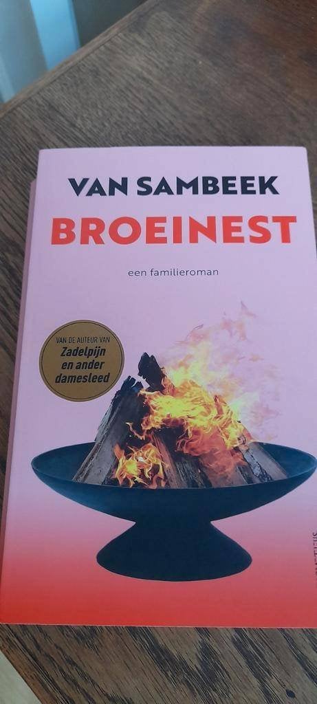 Liza van Sambeek - Broeinest, Boeken, Ophalen of Verzenden, Zo goed als nieuw, Liza van Sambeek, Nederland