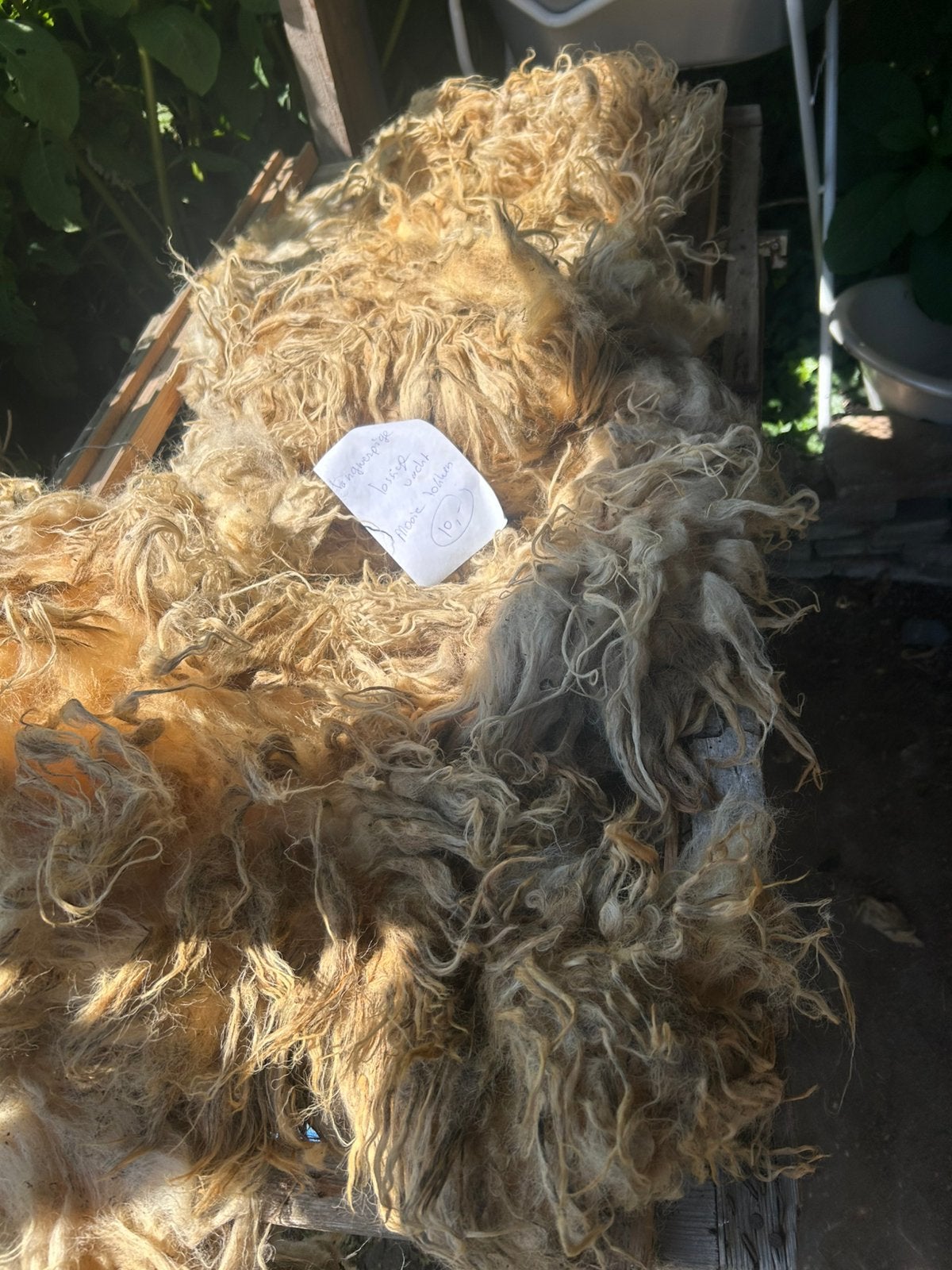 Langwerpige Racka vacht, los, Ophalen of Verzenden, Overige typen