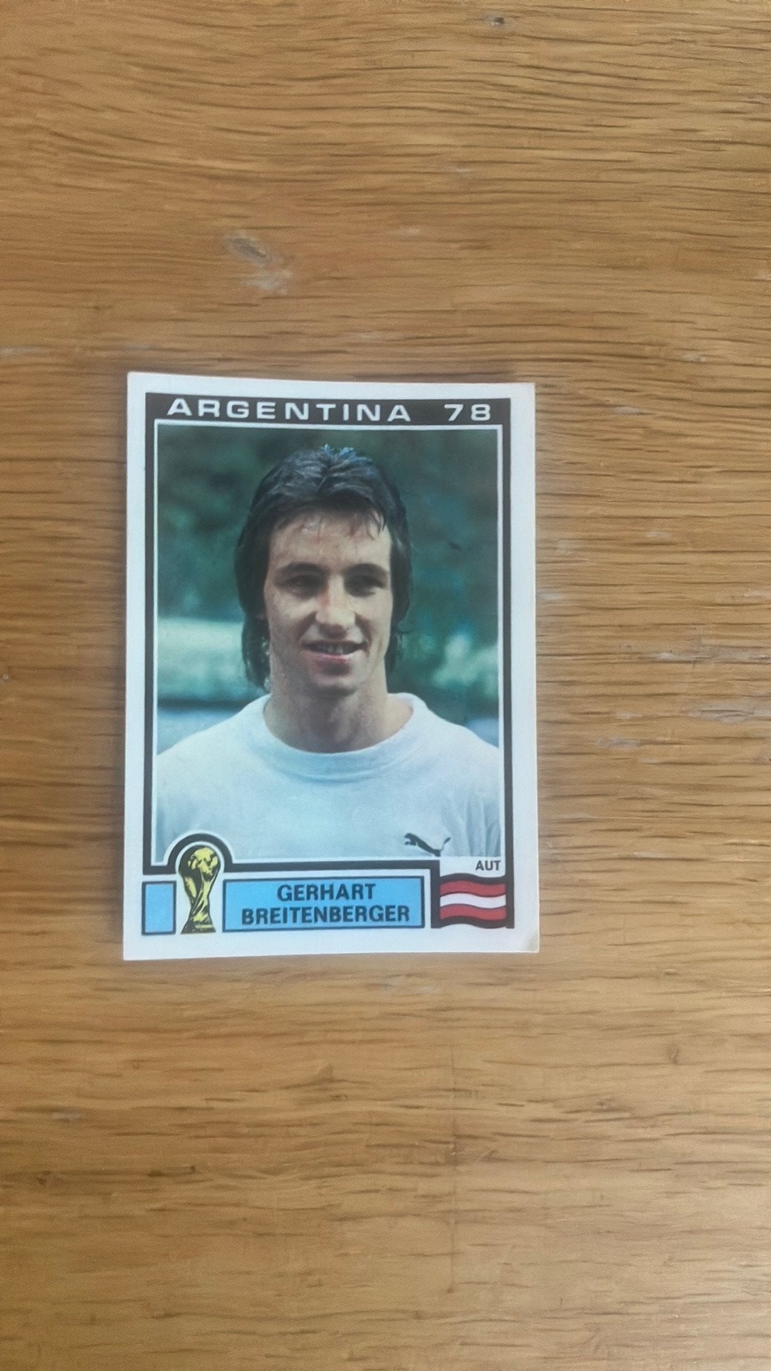 Panini Argentina ‘78, Ophalen of Verzenden, Zo goed als nieuw, Buitenlandse clubs, Poster, Plaatje of Sticker