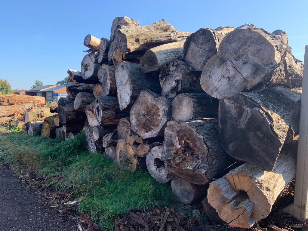ACTIE - Brandhout rondhout - DIK/GROOT, Tuin en Terras, Minder dan 3 m³, Ophalen of Verzenden, Beukenhout, Stammen